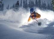 九游游戏-金色的眼泪，为何浇灌了冰冷的红土？