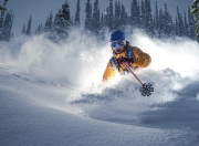 九游游戏-金色的眼泪，为何浇灌了冰冷的红土？