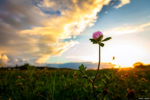 纳贡受伤,突破困境艰难 纳贡受伤,突破困境艰难