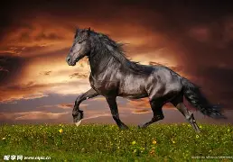 黑马崛起:埃尔巴R利亚战胜加的斯 黑马崛起:埃尔巴R利亚战胜加的斯