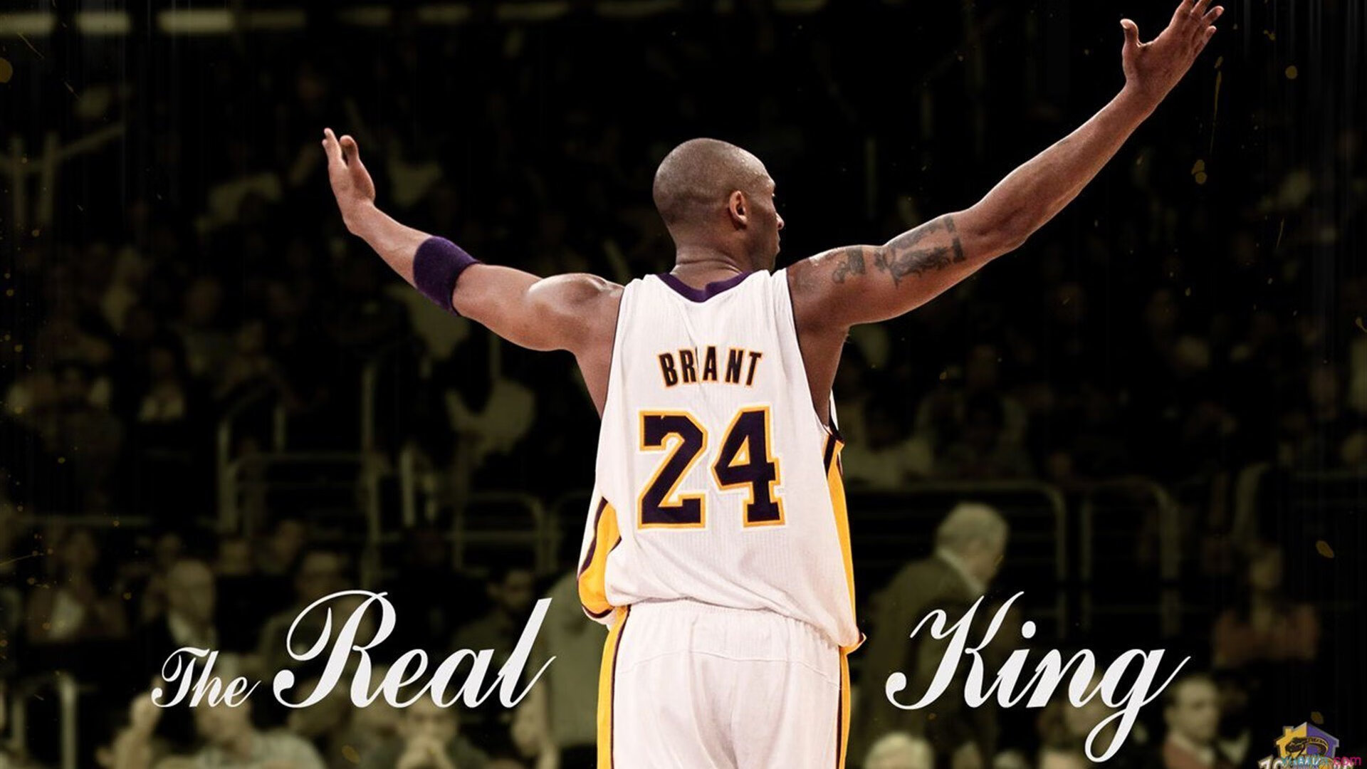 当孤星照亮黑土地,一场跨越时空的篮球哲学对话